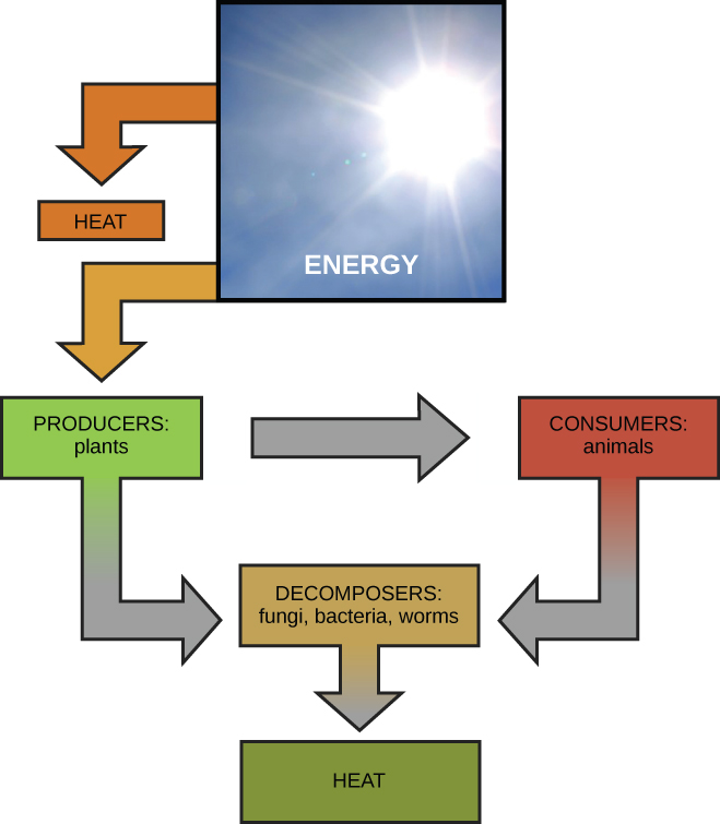You are currently viewing CLASS XII – CHAPTER 12 (NOTES 12.4)