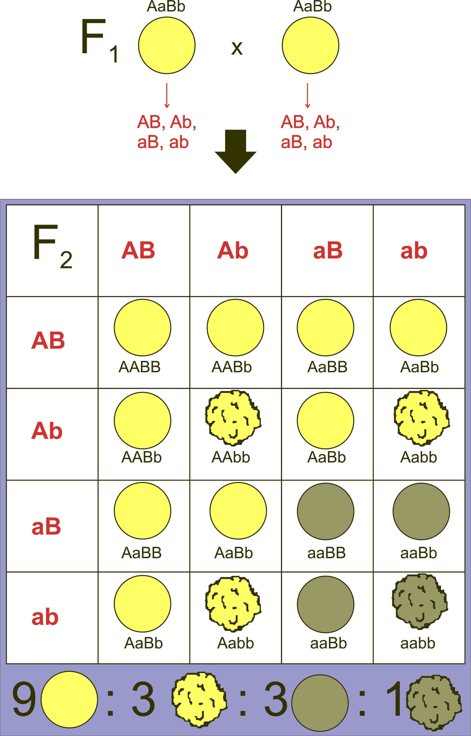 You are currently viewing CLASS XII – CHAPTER 4 (NOTES 4.2)