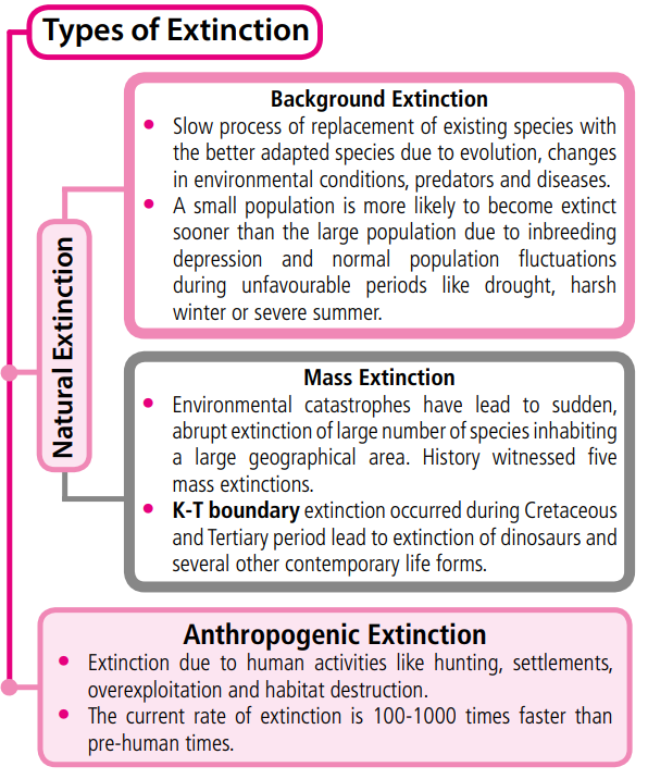 Biodiversity Its Conservation Class Xii Flow Charts Schematic