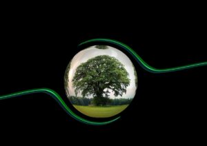 Read more about the article 50 Questions and Answers on Ecology