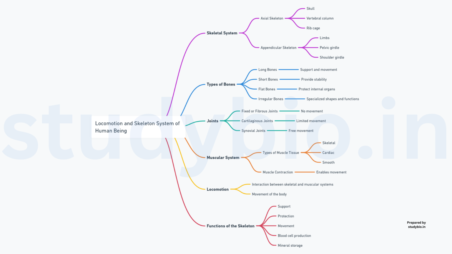 LOCOMOTION AND MOVEMENT - StudyBio - Mastering Biology Made Easy